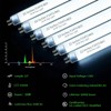 F24T5/865 6 Pack 22 Inch T5 Fluorescent Grow Light Bulbs,