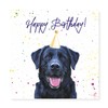Black Labrador Birthday Card - Party Hat