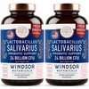 WINDSOR BOTANICALS Lactobacillus Salivarius Probiotic Capsules - L Salivarius Probiotic