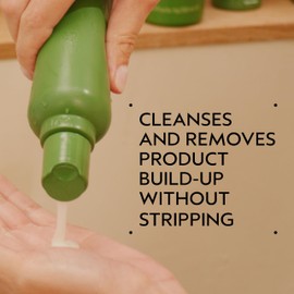 Aveda Be Curly Advanced Shampoo | Moisturizing Shampoo for Curly, Coily, Wavy Hair | Fights Frizz | Sulfate Free, Silicone Free | 94% Naturally Derived*, 33.8 Fl Oz