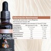 3 Maestros (Cordyceps, Reishi y Melena de Leon) Suplemento en