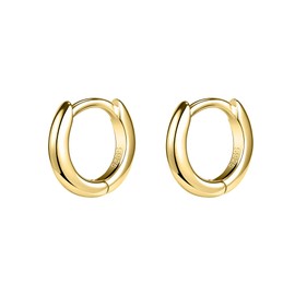 AOEDEJ Gold Hoop Earrings for Women Gold Hoops Gold Hoops Earrings for Women Small Hoops for Second Hole Huggie Earrings for Women