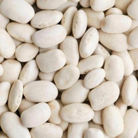SanMac Navy Bean (White Bean) Non_GMO - 2 lb