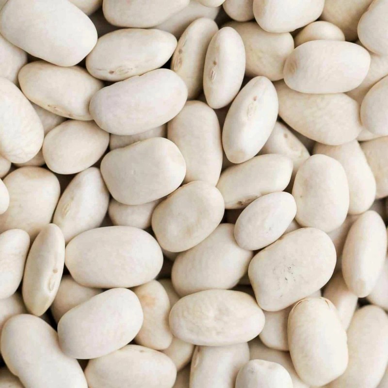 SanMac Navy Bean (White Bean) Non_GMO - 2 lb