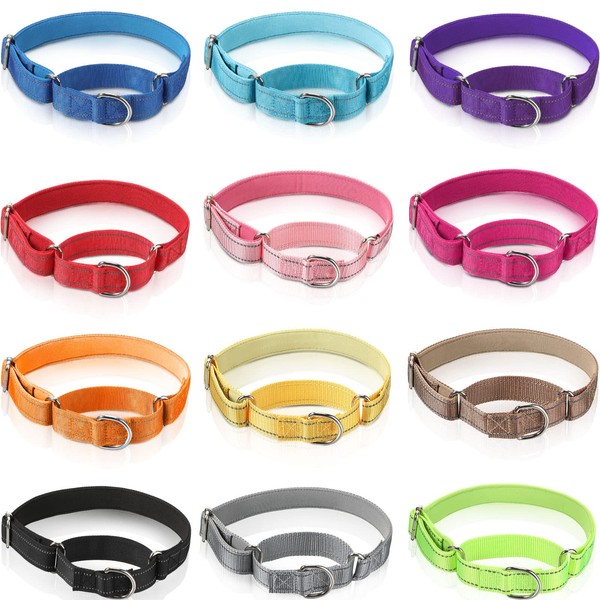 12 Pcs Martingale Collar for Medium Dogs Reflective Dog Collar with Durable Metal Buckle Adjustable Nylon Pet Collar Prevent Slipping Out Puppy Collars for Dog, 12 Colors