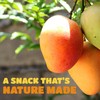 Dried Mango Slices - Delicious Texture Soft & Juicy Low