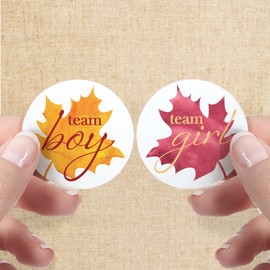 Autumn Leaf Gender Reveal Party Team Boy or Team Girl Stickers - 40 Labels - Fall Themed Gender Reveal