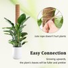 4 Pack 47 Inch Moss Pole, Stackable Moss Poles for