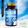 Collagene Marino e Acido Ialuronico: Integratore per Pelle, Ossa e