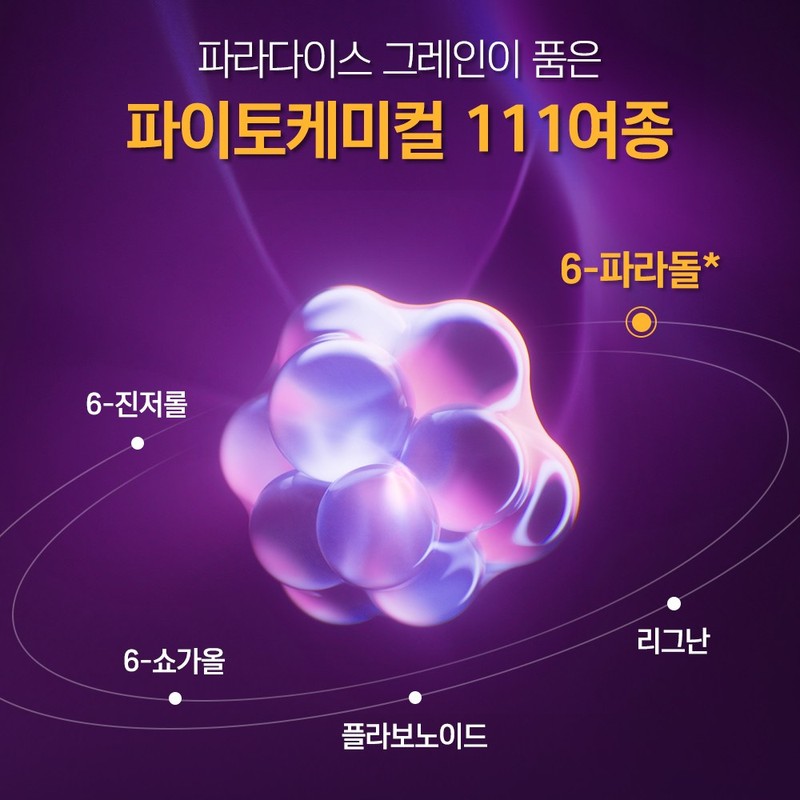 [정품] 파라다이스 그래인 버닝, 120정, 5개 [Genuine] Paradise Grain Burn,