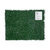 Fancy Pets Repuesto Pasto P/Doggie Grass CH
