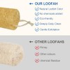Ahatopia Materiales Lufa Natural Real Nuestras Esponjas Están Hechas Exclusivamente