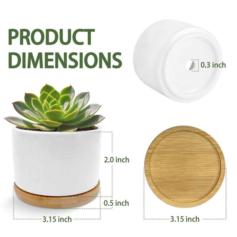 Funny Humorous Saying Planter Pots, Sarcastic I Don't Know Where
