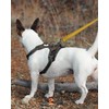 Joytale Correa reflectante de doble cara para perro, 6 pies/5