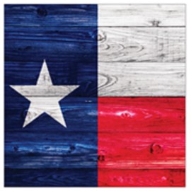 Creative Converting True Texan Texas Flag USA Patriotic Theme Party Paper Luncheon Napkins