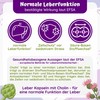 Leber Kur Kapseln - 13fach Komplex mit Bitterstoffen Mariendistel Artischocke