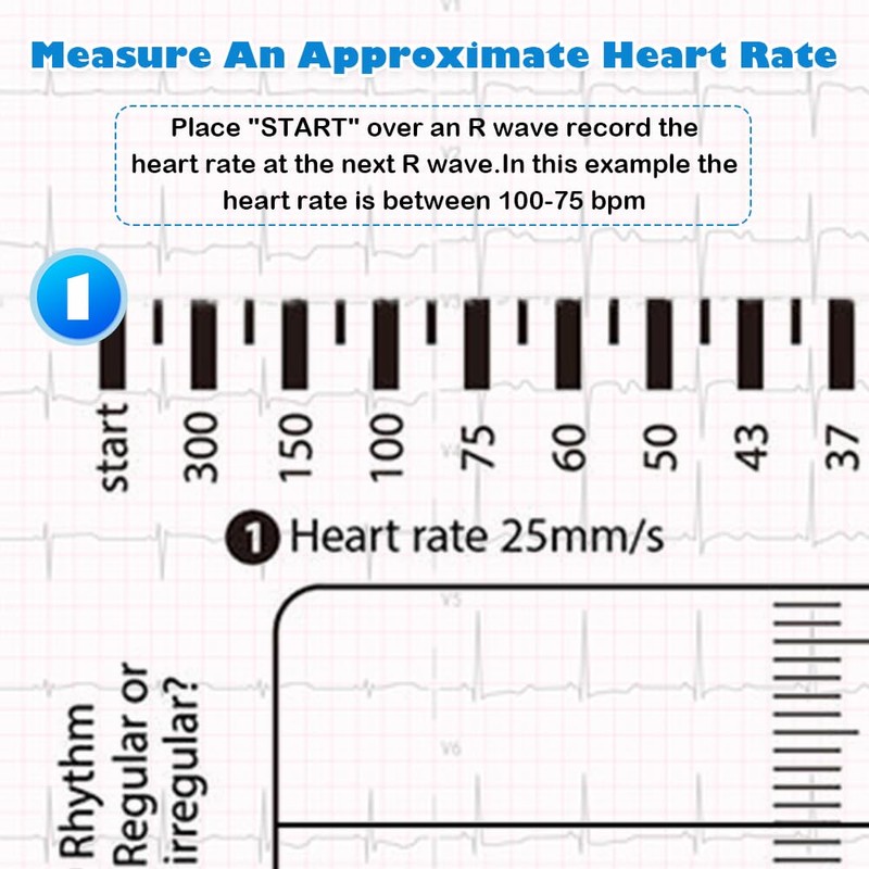 7-Step ECG Ruler, Transparent EKG Measuring Tool, Pocket-Sized 8.6cm x