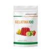Nutrasien100 Gelatina Azúcar Keto Colágeno Carnitina Superfoods Sabores Naturales Postre