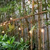 Tomshine AC 220V-240V 21.33ft E12 Base G40 LED Fairy String