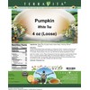 Pumpkin White Tea (Loose) (4 oz, ZIN: 540799) - 2