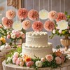 12pcs Tissue Paper Pom Poms Flowers Blush Pink Rose Paper