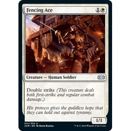 Fencing Ace - Foil