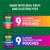 GoGo squeeZ Active Fruit Blend with Electrolytes | 18-Count Variety