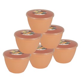 Just Pudding Basins Pastel Colours Peach 1 Pint Basin and Clear Lid Pack of 6 Plastic Pudding Steaming Bowls