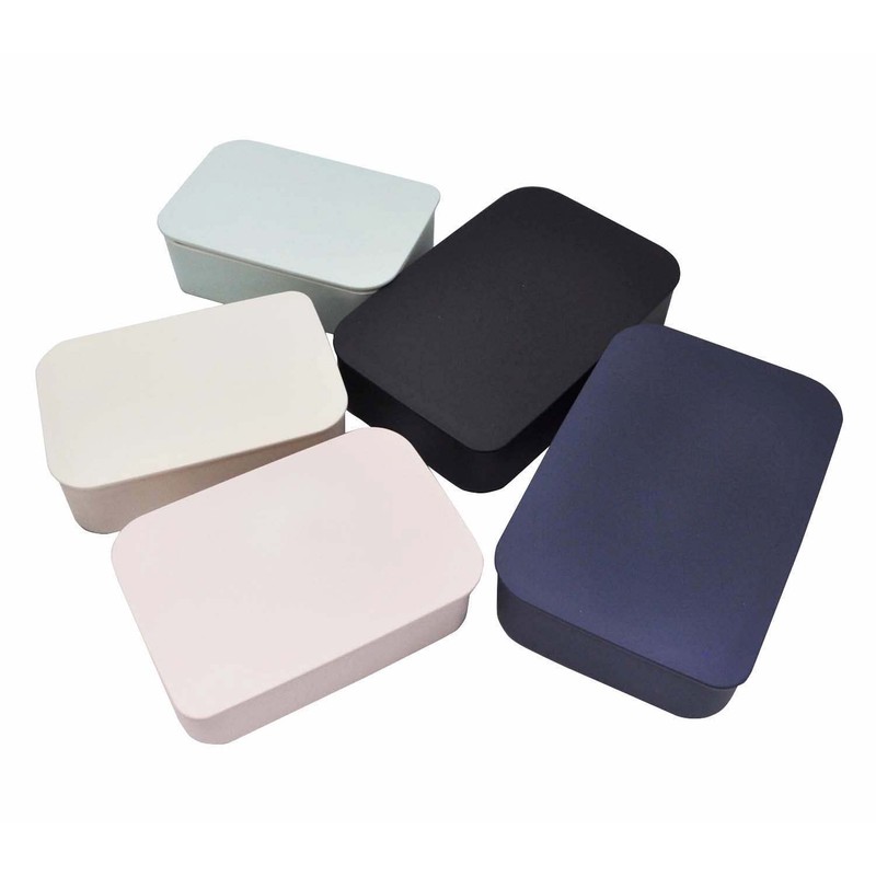 Skater NLP5-A Painted 1-Tier Lunch Box, 16.9 fl oz (500