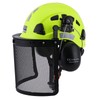 LOHASTAR Forestry Helmet with Face Shield and Ear Muffs Safety