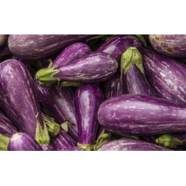 RAISE ME UP: Seeds Eggplant Long Mix Non GMO Heirloom