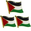 3 Pack Palestine Flag Pins - Metal National Palestinian Flag