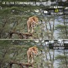 Trail Camera 16MP 4K Waterproof Game Hunting Camera with Night