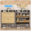 VTRIN Shoe Cabinet for Entryway Shoe Storage Cabinet with 2