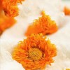 Whole Marigold 1.2oz. Whole Flower Marigold Flower No Caffeine