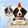 Crazytops Bernese Mountain Dog Birthday Card, Pop-Up, 6 x 6