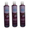 Shampoo Cebolla Shelo Nabel
