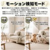 Small Camera, Small Digital Camera, 1080p (Motion Detection Recording, Easy