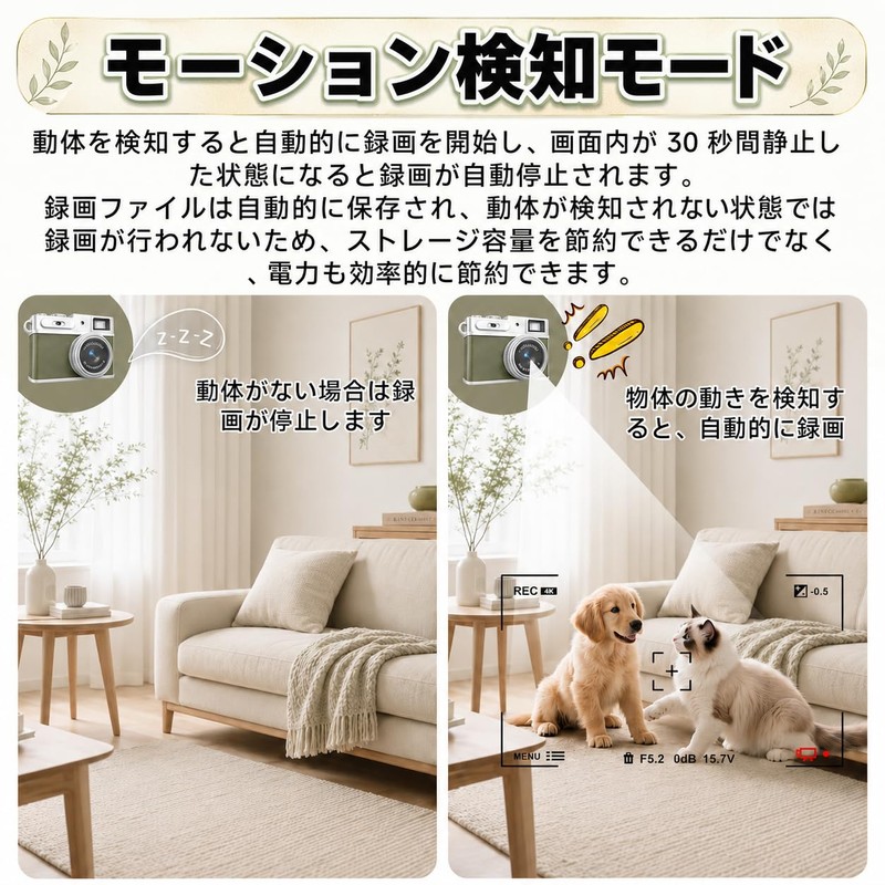 Small Camera, Small Digital Camera, 1080p (Motion Detection Recording, Easy