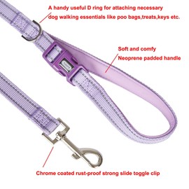 YUDOTE Nylon Dog Lead,Reflective Dog Leash with Soft Comfy Padded Loop Handle,Handy D Ring and Buckle for Puppy,Small Dogs Daily Walking,Lilac