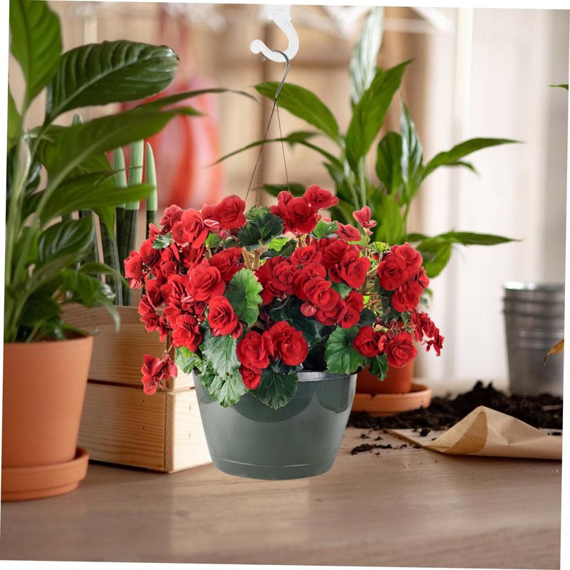 Levemolo 8 Sets Heavy Duty Ceiling Hooks for Hanging Plants