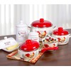 Enamel Stock Pot Rooster Enamel Cooking Pot Enameled Pot with