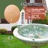 HIGHYEAH Bird Bath Copper Plate Disk 99.99% Pure Copper Cleaning