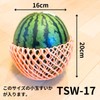 Fukuroya Bio Fruit Cap TSW-17 White Double 10000373 6.7 inches