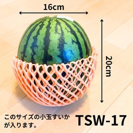Fukuroya Bio Fruit Cap TSW-17 White Double 10000373 6.7 inches (17 cm), 100 Pieces Buffer Material, Protection, Net, Caps, Fruit Tree