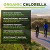Chlorella Powder | Organic | 500g | Cracked Cell Wall