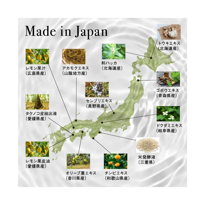 Rinren Shampoo Mint & Lemon 13.5 fl oz (400 ml)