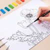 Fine Detail Paint Brush Set, 4 Pieces Professional Small Artist