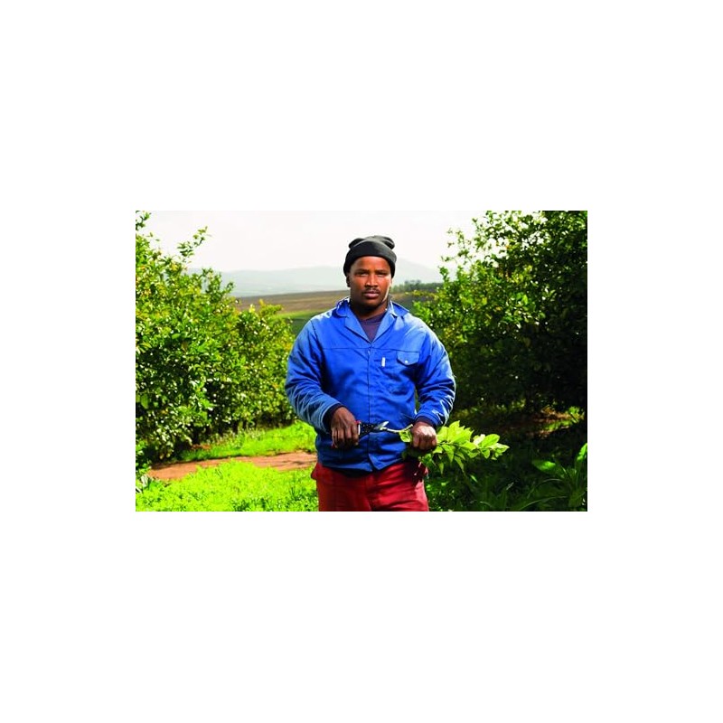 Felco F5 Pruning Shears – 8.9" Swiss-Made Garden Clippers with