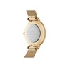 Daniel Wellington Ladies Petite Evergold Watch DW00100350